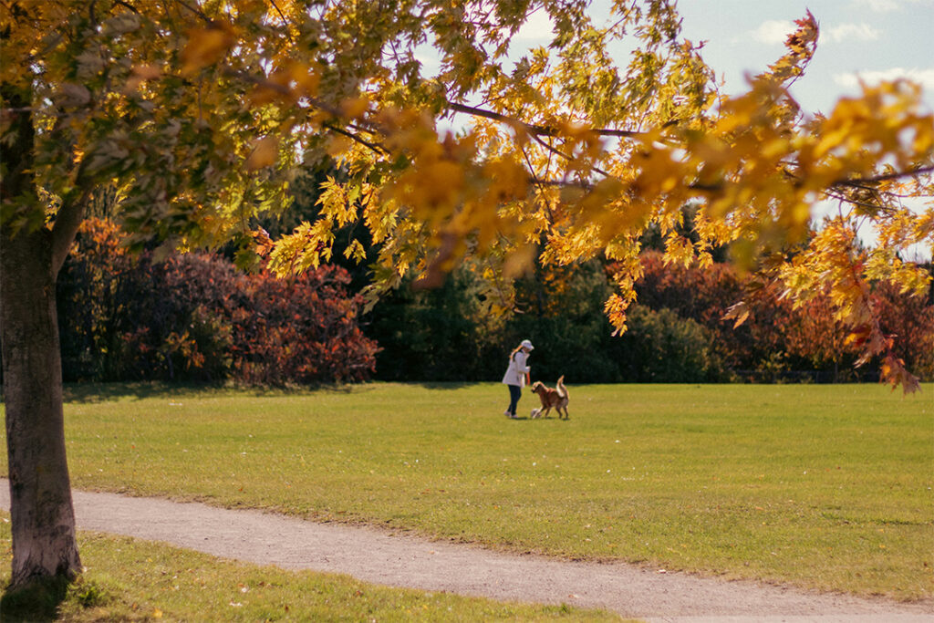 Community Amenities and Recreation